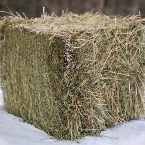 Foin de Crau - La tonne - Commande minimum 10 tonnes