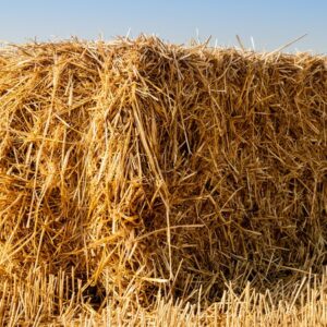 Paille - La tonne - Commande minimum 10 tonnes