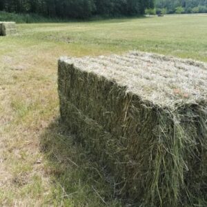 Foin de Prairie Naturel - La tonne - Commande minimum 10 tonnes