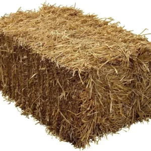 15 kg de paille d'orge fraîche - Pour cochon d'Inde, lapin, hamster, cheval/ Commande mini 20