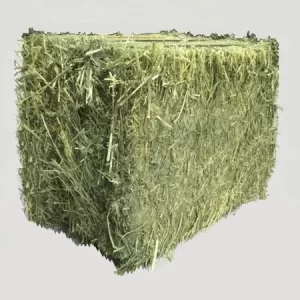 Foin de Luzerne 30 bottes de ~25 kg / Commande mini 04 palettes